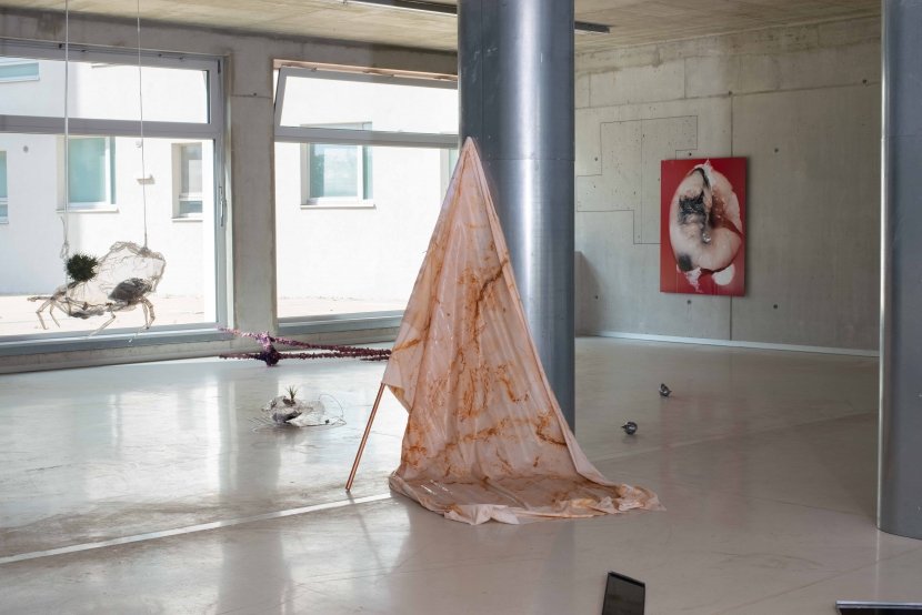 Gruppenausstellung, Fixing my gaze, 2019, Ausstellungsansicht, PFERD, Wien