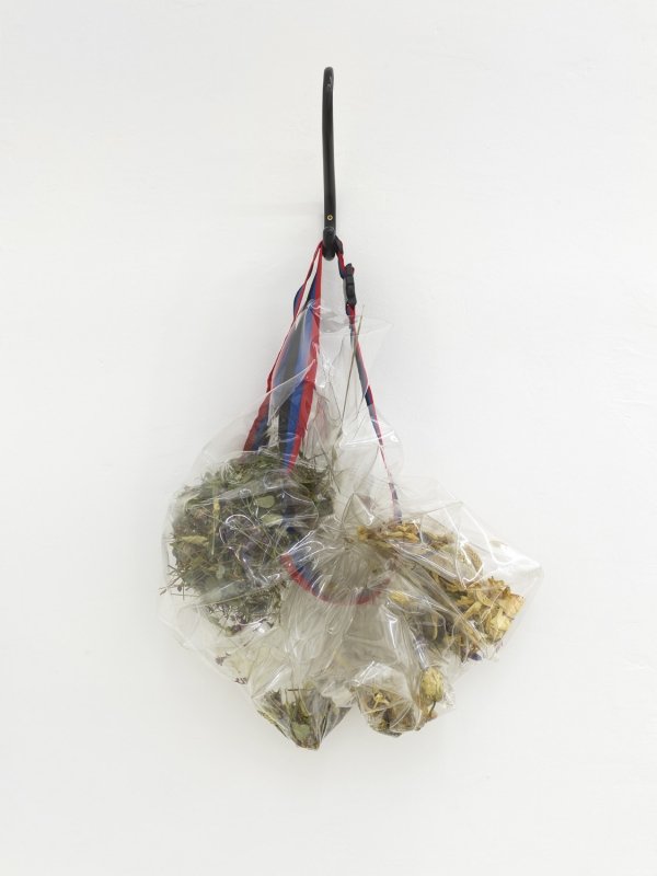 Ann Cathrin November Høibo, Circumcircle D, 2019, Dried flowers, vinyl, luggage strap, vintage Ikea-hook, 108 × 57 × 30 cm