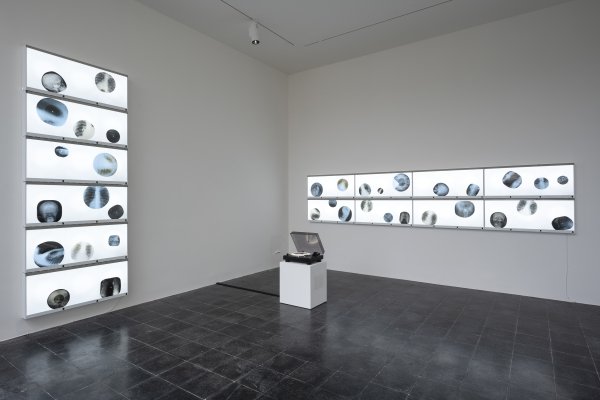 Anna Jermolaewa, Ribs, 2022/24, Installationsansicht, Austrian Pavilion, Biennale Arte 2024, Foto: Markus Krottendorfer und Bildrecht 