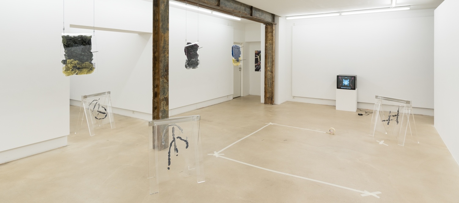 Gruppenausstellung, ensational and antigenerative successions, 2019, Ausstellungsansicht, Nir Altman, München