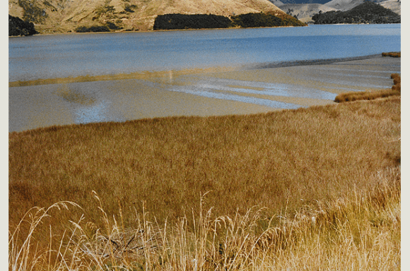 Felicitas Vogler, Paihia Bay, Neuseeland, 1991, Farbfotografie auf Kodakpapier, 35,7 x 50,5 cm, Kunstmuseum Bern, Legat Felicitas Vogler, St-Légier
